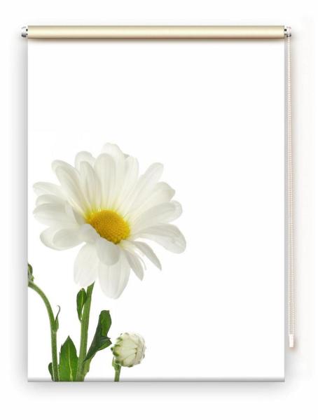 Rollo Margarete links, Rollo, Motivrollo, Rollo mit Druck, Fotorollo, bedrucktes Rollo, Fensterrollo,verdunkelndes Rollo, Sonnenschutz Rollo